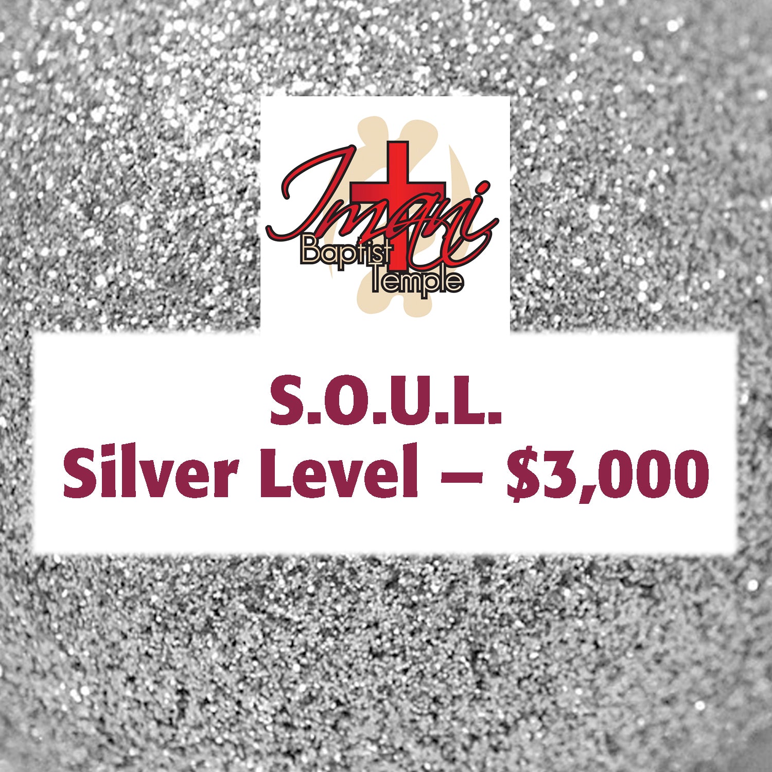 Silver Level - $3,000